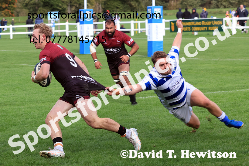 Tynedale v Rossendale, 2025 Tynedale Park, Corbridge, October 4th. Photo: David T. Hewitson/Sports for All Pics